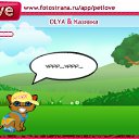  ,  -  1  2010   PetLove