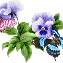 ���� �������, ������� ����, 35 ��� - ��������� 15 ������� 2010 � ������ ���������