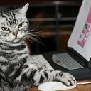 ���� �������, �������� - ��������� 19 ������ 2012 � ������ ���� ����������