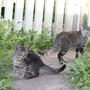 ���� ������, �����-���������, 63 ���� - ��������� 1 ������� 2011 � ������ �����������ۻ