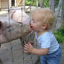 ���� ���������, ������, 53 ���� - ��������� 18 ��� 2012