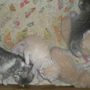 ���� �����, ������ - ��������� 14 ���� 2010 � ������ ������ ��������