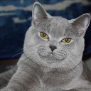 ���� Serega, ��������� - ��������� 25 ������� 2010 � ������ ������