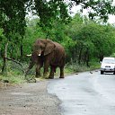 ���� Serji, ��������, 60 ��� - ��������� 17 ��� 2011 � ������ �Cape Town 2�