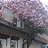 ���� ������, ����, 45 ��� - ��������� 16 �������� 2011