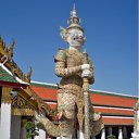 ���� �����, �����-��������� - ��������� 23 ������ 2012