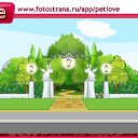  , -, 40  -  4  2010   PetLove