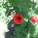 ���� ���������, ������ - ��������� 31 ��� 2011 � ������ �����