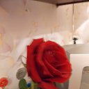 ���� �����, �������� - ��������� 23 ������ 2012 � ������ �Foto Sympathy�