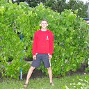  , , 50  -  1  2012   2012