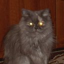 ���� Lana, ������, 61 ��� - ��������� 22 ������� 2009 � ������ �������