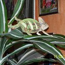 ���� Dimka, ������, 57 ��� - ��������� 11 ����� 2012 � ������ �TIERE�