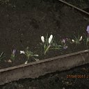  , -, 57  -  28  2012      !!!