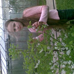 ��������, ����������, 28 ���