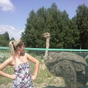 ���� ����, �����, 44 ���� - ��������� 18 ����� 2012 � ������ ���� ����������