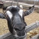 ������� �������! �� ������� ��������