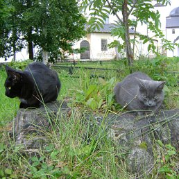 ���� Leno4ka "�� �������� � �����������" Mutnay, �������, 39 ��� - ��������� 8 ��� 2010