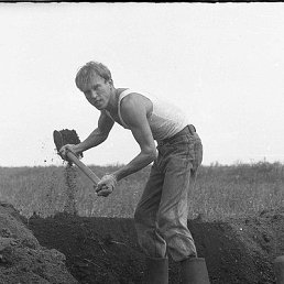 ������ �� ������ ��� ������� ���� 1995 ������� ���1995 ���� 19 �������