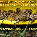 ���� �����, ������������ - ��������� 17 ���� 2010 � ������ ��������