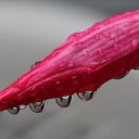 ���� ����� - ���������� ��������!!!, �����������, 56 ��� - ��������� 15 ������ 2010 � ������ �������� ��� ���� :-)))�