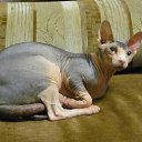 ���� �����, ������ - ��������� 28 ������� 2011 � ������ ���������� ������