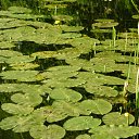 ���� �������*, �������, 59 ��� - ��������� 10 ������� 2011 � ������ ����������� ���� ���..))�