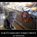 ���� ����, ����, 50 ��� - ��������� 16 ������ 2010 � ������ �������