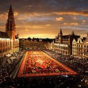 ���� ����, ����, 41 ��� - ��������� 14 ������� 2012 � ������ �������