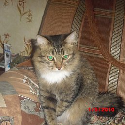 ���� Sergei, ��������, 46 ��� - ��������� 27 ������� 2012