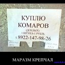 ���� ������, �������, 40 ��� - ��������� 4 ������ 2011 � ������ ���� ����������