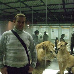 ���� �����, ������, 51 ��� - ��������� 8 ��� 2012