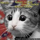 ���� �����, �������� - ��������� 7 ���� 2013 � ������ ��������� ���� � fotiko.ru�