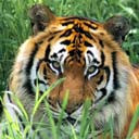  Nadin))) , - -  27  2010   