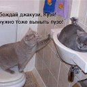 ���� ���, ����, 50 ��� - ��������� 29 ��� 2011 � ������ �������