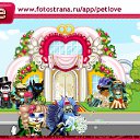  , , 58  -  18  2010   PetLove