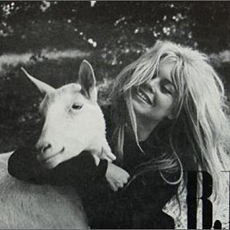 ���� ������, ������, 46 ��� - ��������� 31 ������� 2010