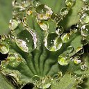 ���� �����, ������, 26 ��� - ��������� 11 �������� 2010 � ������ �����