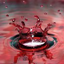 ���� �����, ������, 26 ��� - ��������� 26 �������� 2010 � ������ �����