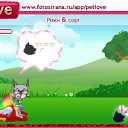 ���� ����, �����������, 74 ���� - ��������� 22 ������ 2011 � ������ �PetLove�