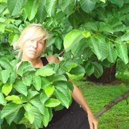 ���� ����, �����������, 48 ��� - ��������� 8 ���� 2013