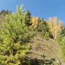  , -, 42  -  31  2011   