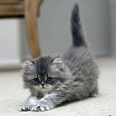 ���� �������� - ��������, ����������, 55 ��� - ��������� 23 ���� 2012 � ������ �������