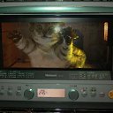 ���� Alex, ���������, 44 ���� - ��������� 27 ������ 2009 � ������ ���������