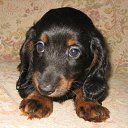 Фото Майя, Волгоград, 64 года - добавлено 2 июля 2013