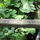 ���� ���������, ������ �����, 29 ��� - ��������� 8 �������� 2011 � ������ ���� ����������