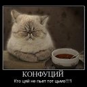 ���� ����@, ��������, 62 ���� - ��������� 4 ��� 2010 � ������ �������-��� ������� ����