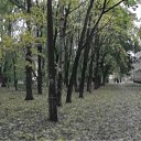  -@, -- -  30  2012      (- VeraOka)