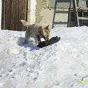 ���� �, ����-�����������, 46 ��� - ��������� 10 ����� 2011 � ������ ��������