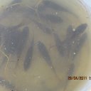  , -, 57  -  28  2012      !!!