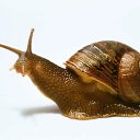  , -, 34  -  18  2009